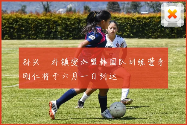孙兴慜朴镇燮加盟韩国队训练营李刚仁将于六月一日到达