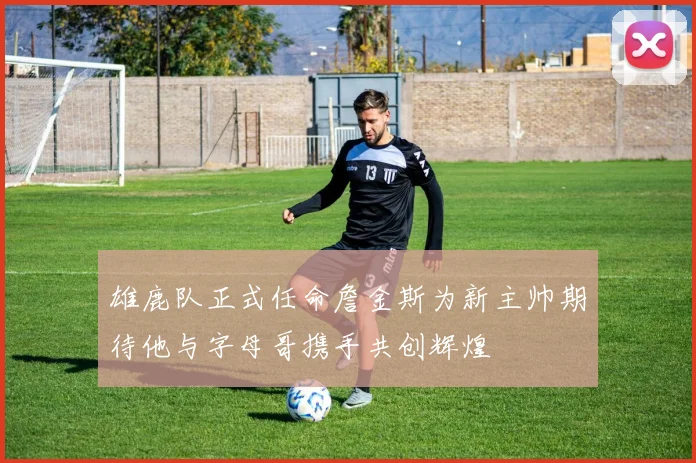 雄鹿队正式任命詹金斯为新主帅期待他与字母哥携手共创辉煌